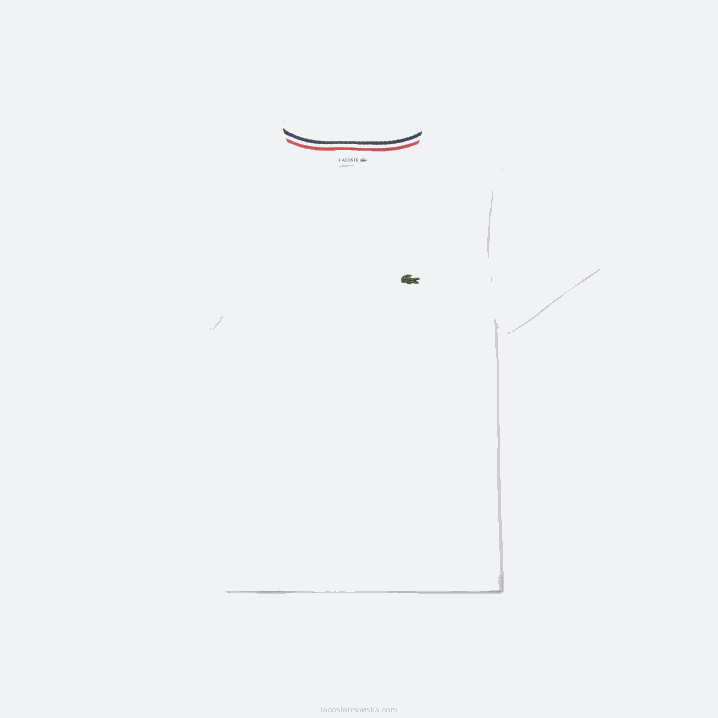 bijela 001 6H4B2996 djeca Lacoste pamučna majica s okruglim izrezom