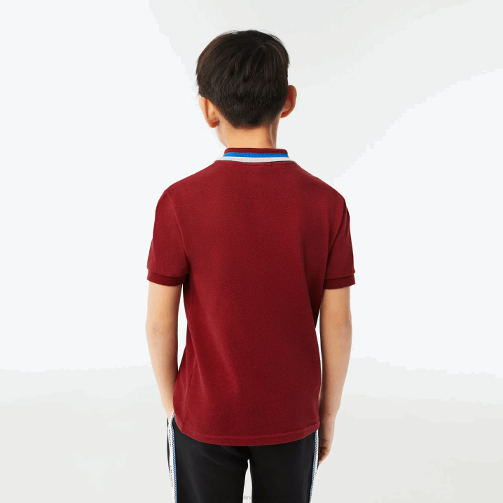bordo bijela x62 6H4B2954 dječaci Lacoste trobojni ovratnik pamuk petit pique polo