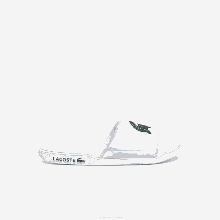 bijela i tamno zelena 1r5