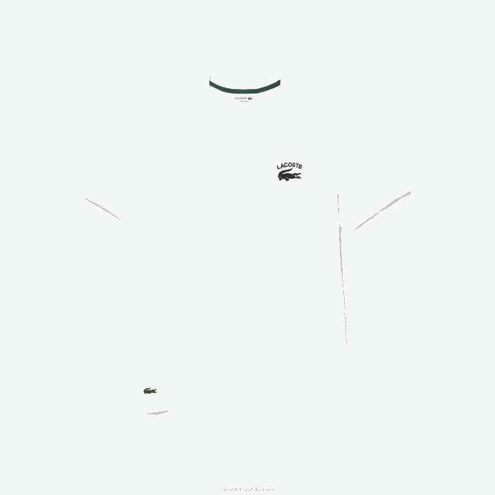 bijela 001 6H4B103 muškarci Lacoste obična majica od pamučnog jerseya