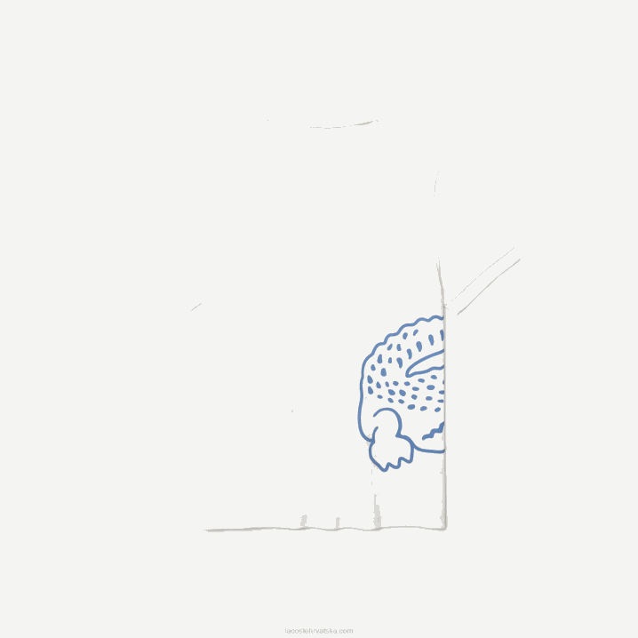 bijela 70v 6H4B649 muškarci Lacoste pamučni pique polo s krokodilskim uzorkom uobičajenog kroja